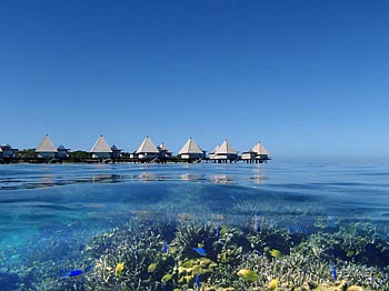 Snorkelling at L'Escapade Island Resort