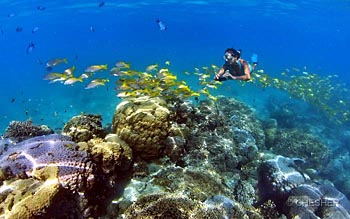 l'Escapade Island Resort coral reef