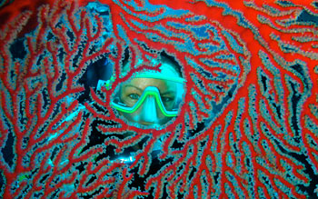 scuba diving new caledonia tieti
