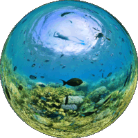 ilot-canard-noumea-underwater-sphere