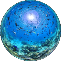 Ilot Amedee coral reef VR bubble
