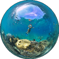 underwater sphere image of a coral reef at Ilot Maitre New Caledonia Lagoon