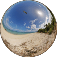 Ilot Ouanne Eagles, New Caledonia