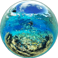The Pontoon New Caledonia coral reef memory bubble