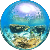 Ilot Ua Coral Reefs in the South Lagoon of New Caledonia