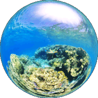 Ilot Ua Coral Reefs in the South Lagoon of New Caledonia