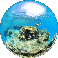 Ilot Ua Coral Reefs in the South Lagoon of New Caledonia